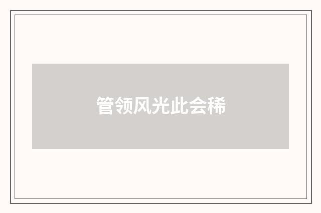 管领风光此会稀
