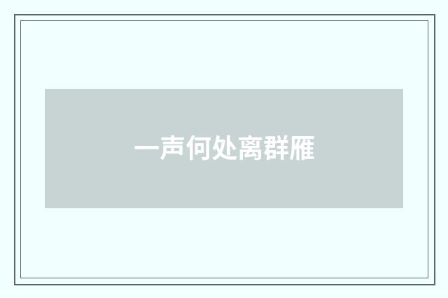 一声何处离群雁