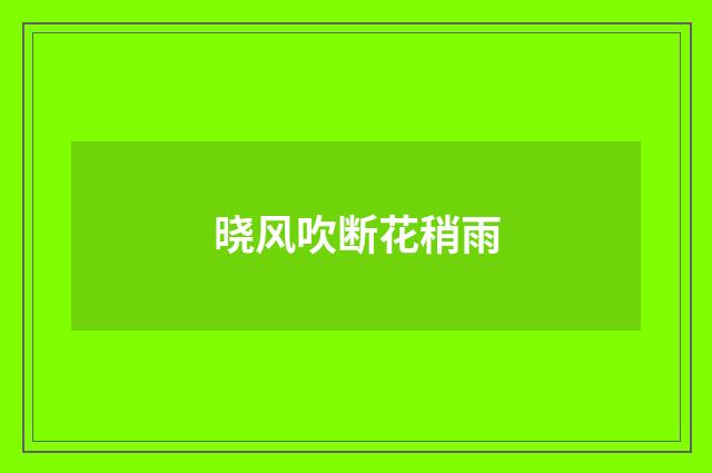晓风吹断花稍雨