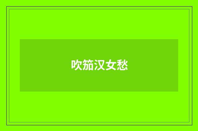 吹笳汉女愁
