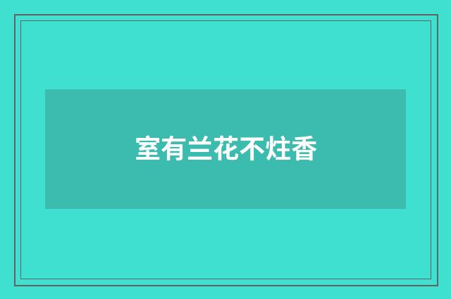 室有兰花不炷香