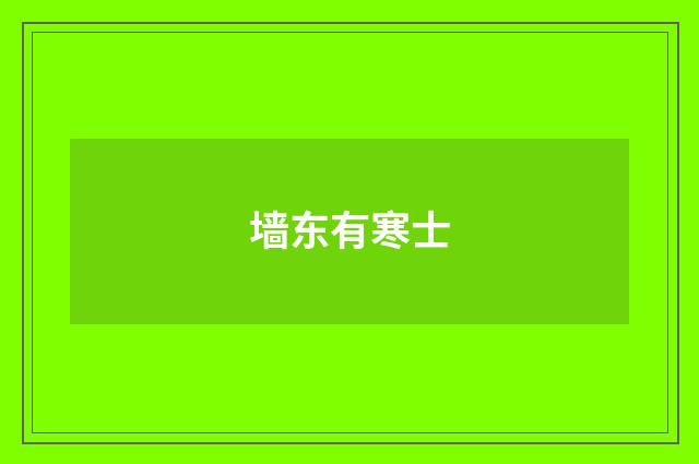 墙东有寒士