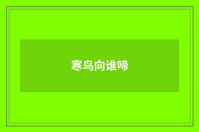 寒鸟向谁啼
