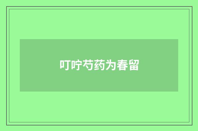 叮咛芍药为春留
