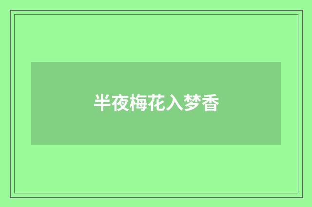 半夜梅花入梦香