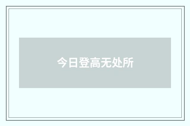 今日登高无处所