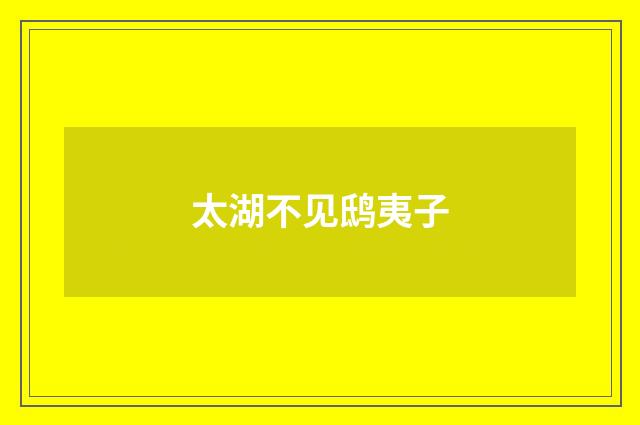太湖不见鸱夷子