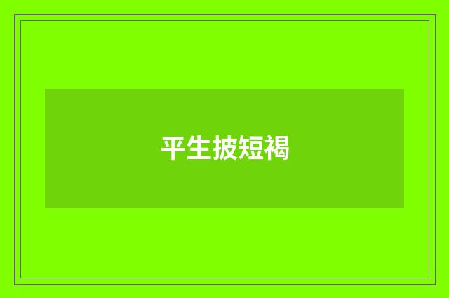 平生披短褐