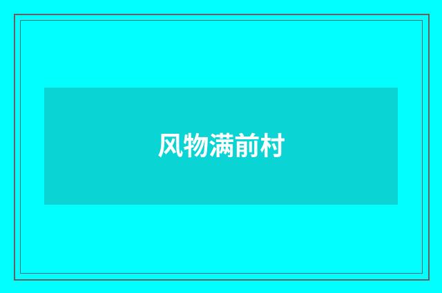 风物满前村