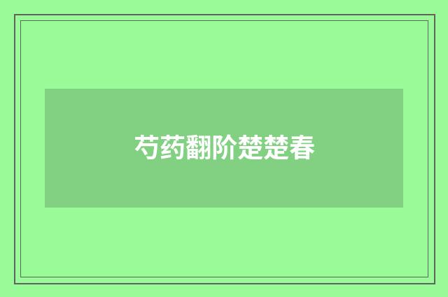 芍药翻阶楚楚春