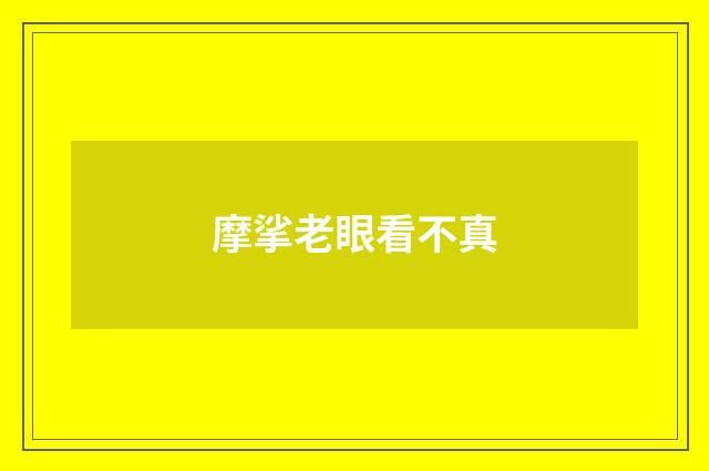 摩挲老眼看不真