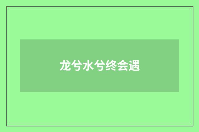 龙兮水兮终会遇