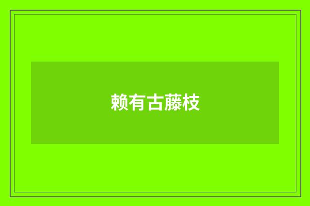 赖有古藤枝