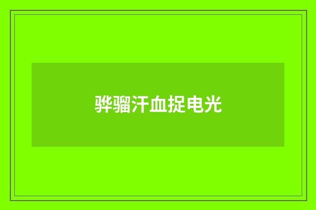 骅骝汗血捉电光