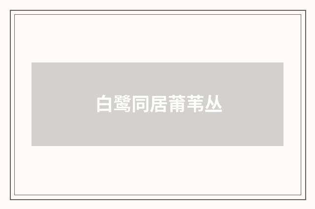 白鹭同居莆苇丛