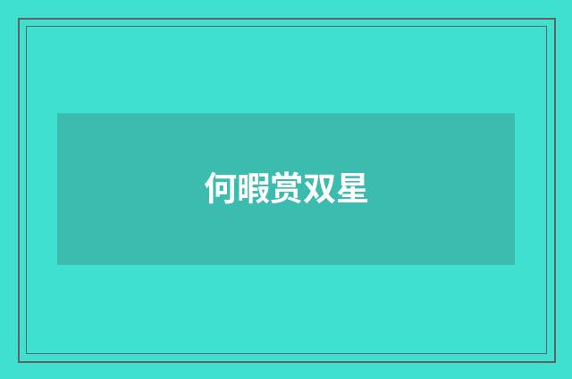 何暇赏双星