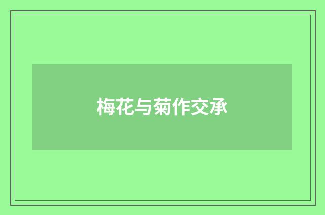 梅花与菊作交承