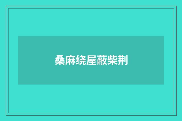 桑麻绕屋蔽柴荆