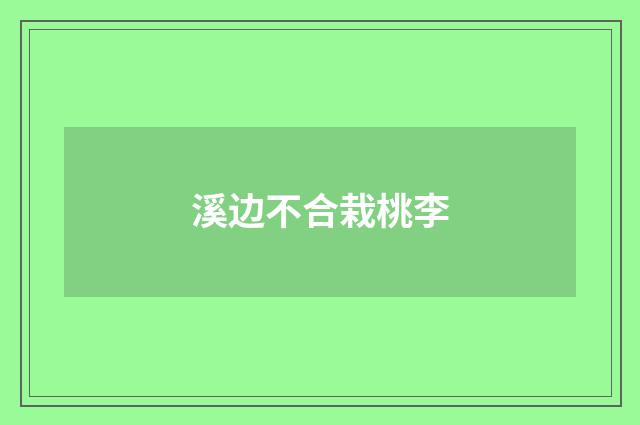 溪边不合栽桃李