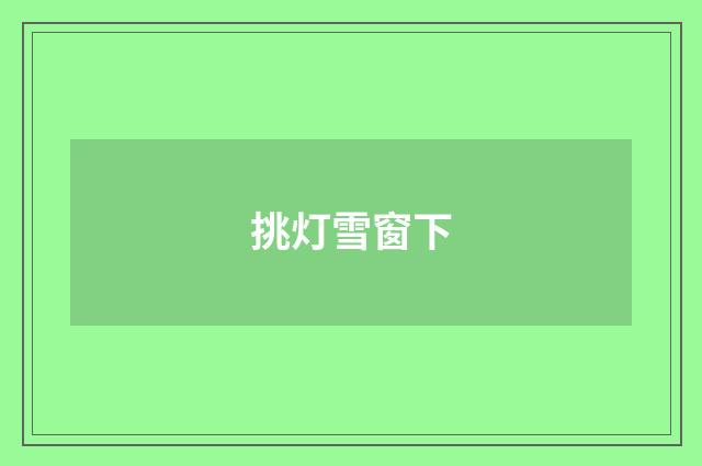 挑灯雪窗下