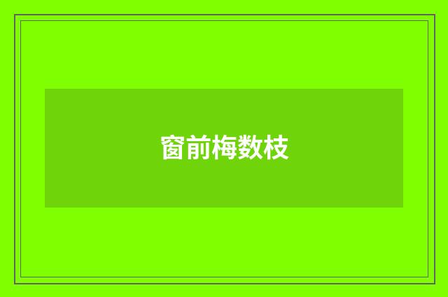 窗前梅数枝