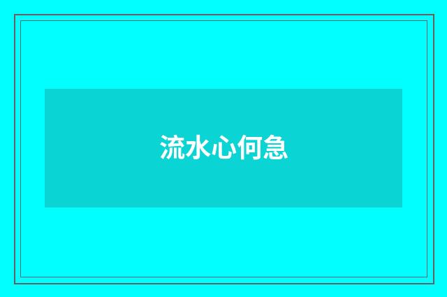 流水心何急