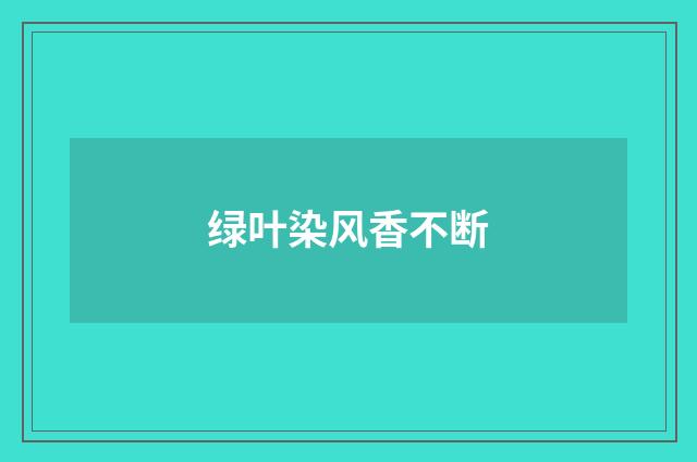 绿叶染风香不断
