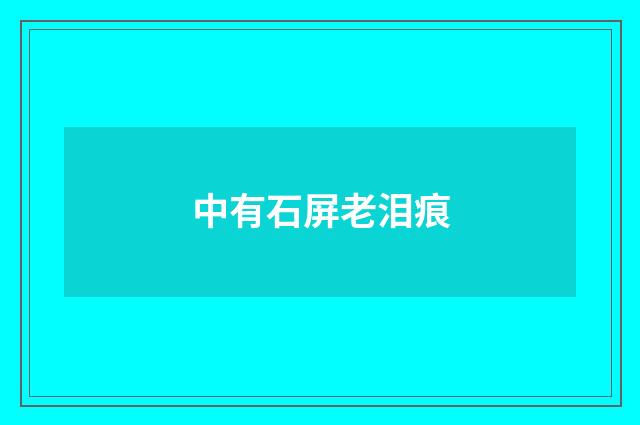 中有石屏老泪痕