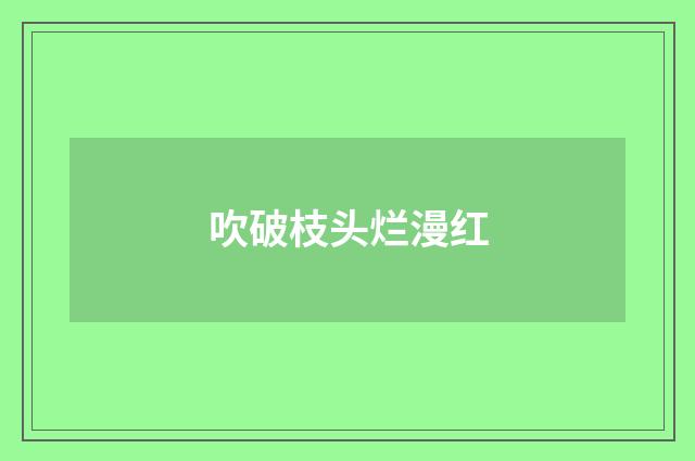 吹破枝头烂漫红