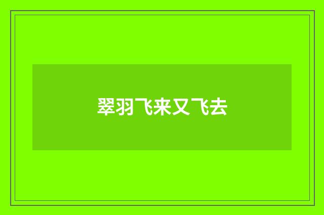 翠羽飞来又飞去