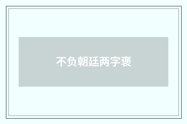 不负朝廷两字褒