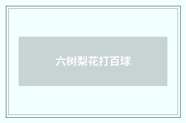六树梨花打百球