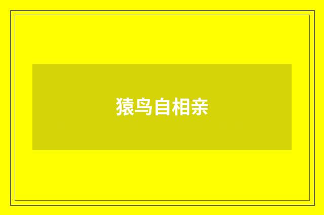 猿鸟自相亲