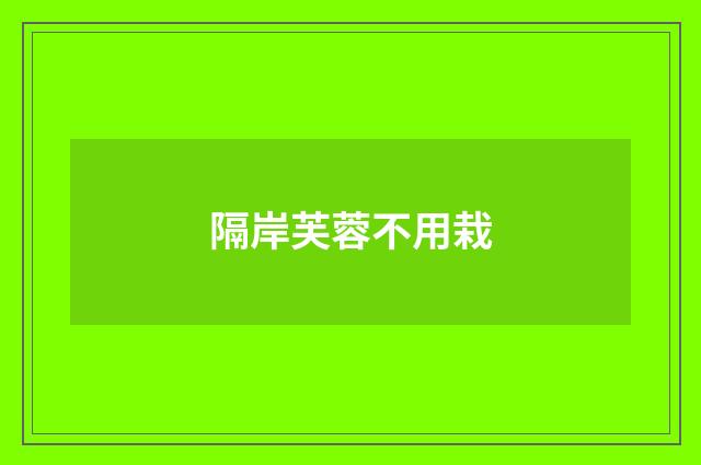 隔岸芙蓉不用栽