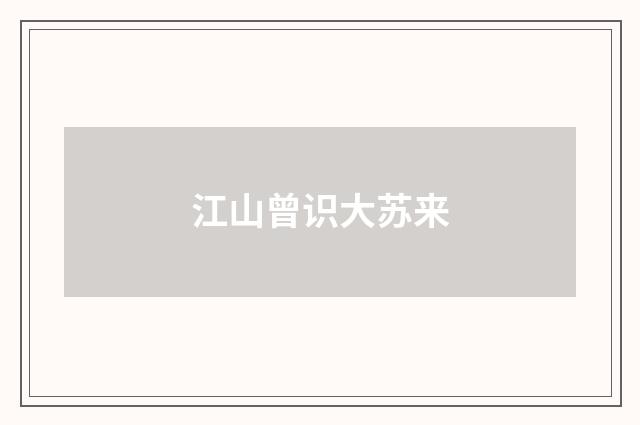 江山曾识大苏来