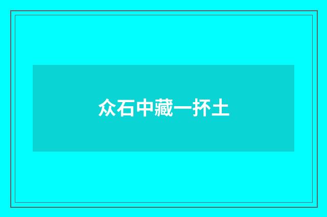 众石中藏一抔土
