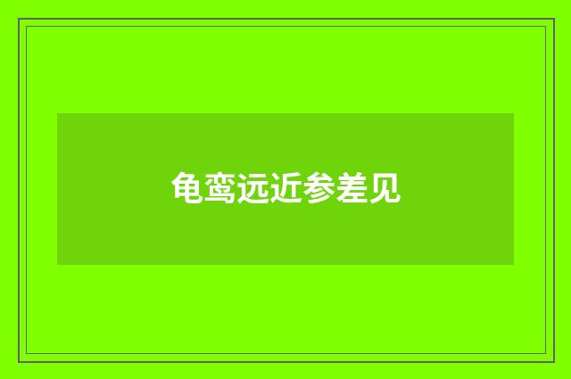 龟鸾远近参差见