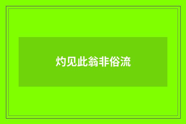 灼见此翁非俗流