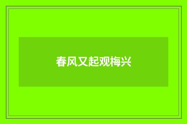 春风又起观梅兴