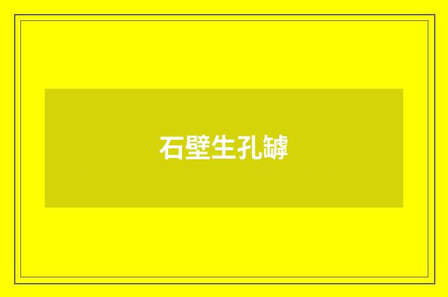 石壁生孔罅
