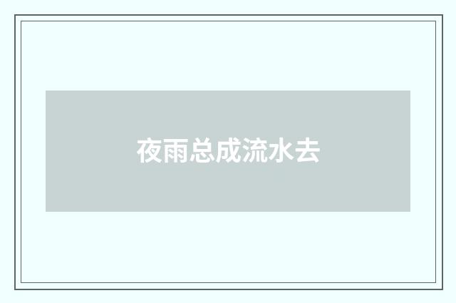 夜雨总成流水去