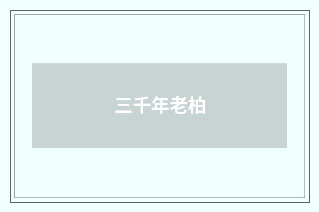 三千年老柏