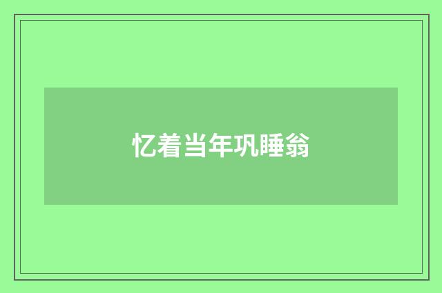 忆着当年巩睡翁