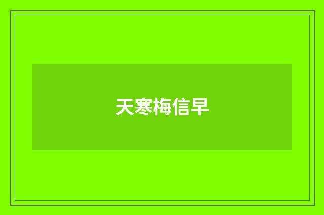 天寒梅信早