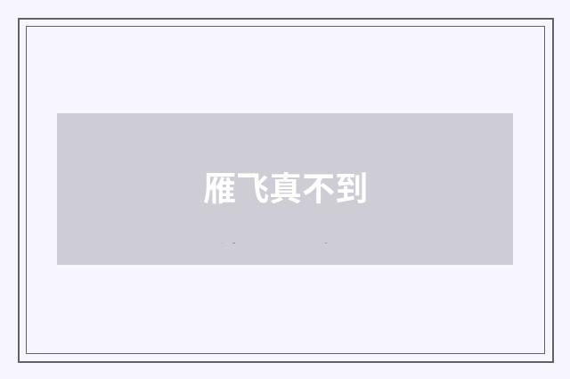雁飞真不到