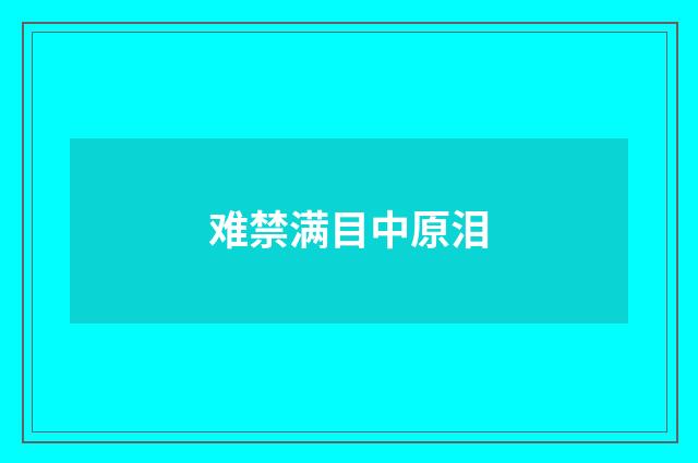 难禁满目中原泪