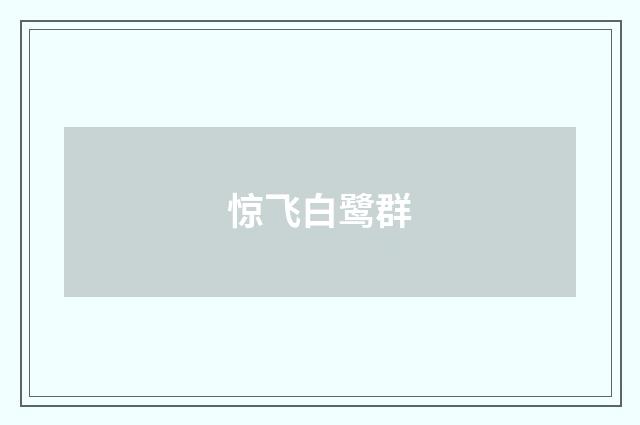 惊飞白鹭群
