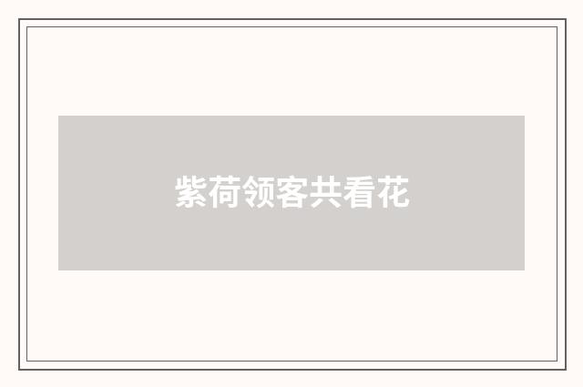 紫荷领客共看花