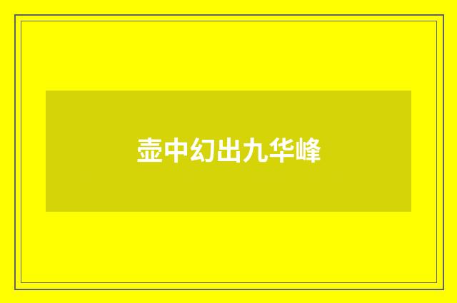 壶中幻出九华峰