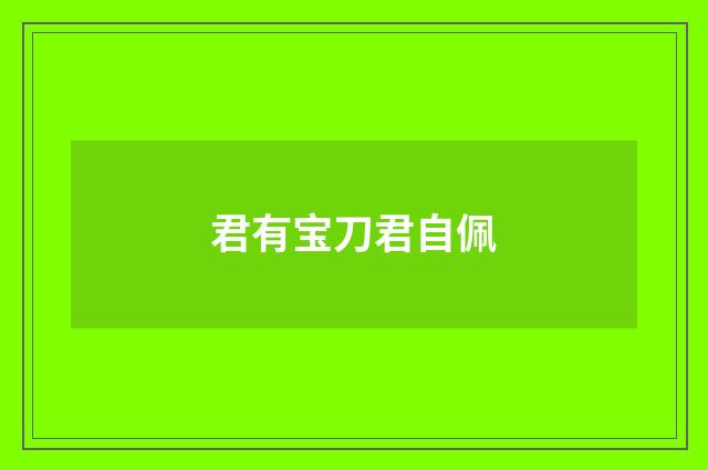 君有宝刀君自佩
